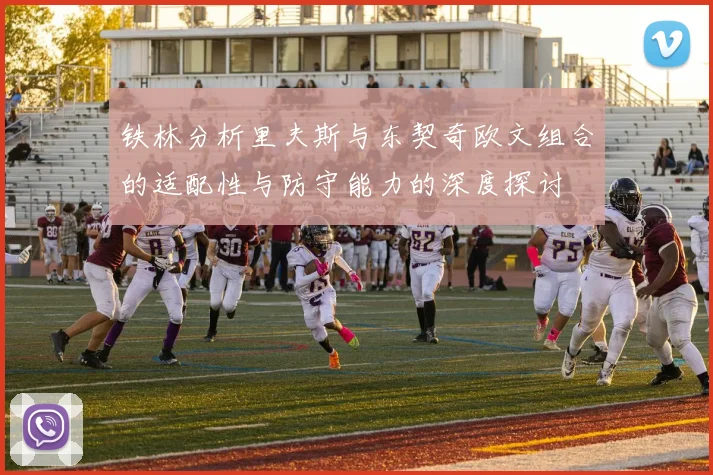 铁林分析里夫斯与东契奇欧文组合的适配性与防守能力的深度探讨
