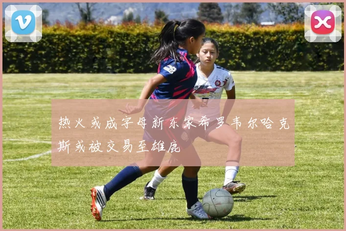 热火或成字母新东家希罗韦尔哈克斯或被交易至雄鹿