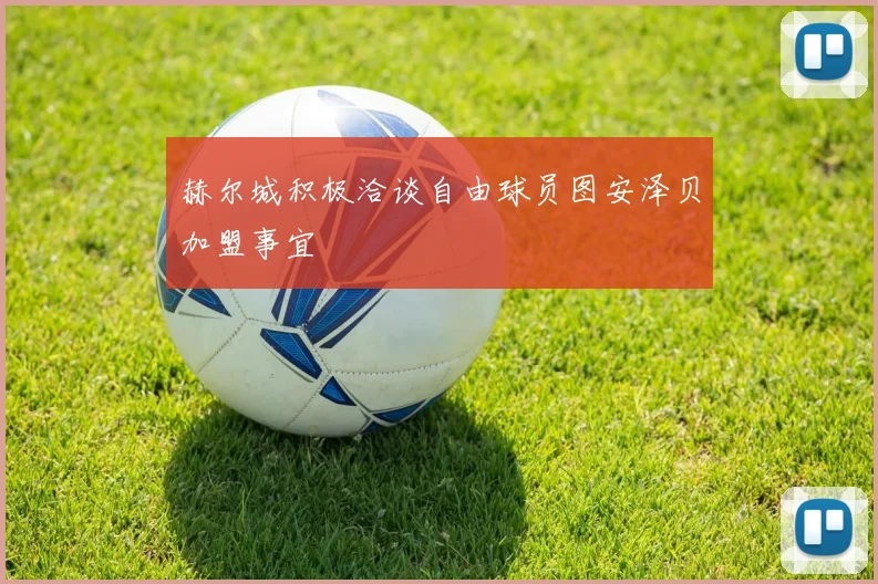 赫尔城积极洽谈自由球员图安泽贝加盟事宜